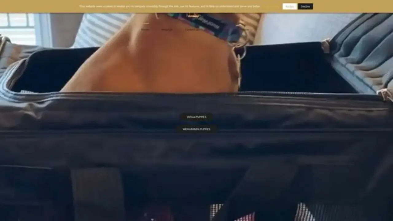 Screenshot of||