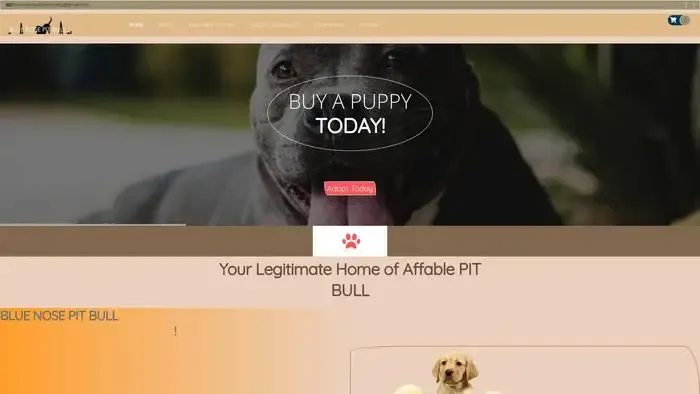 Screenshot of