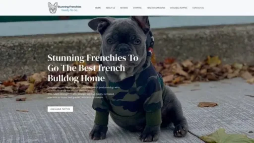 Screenshot of