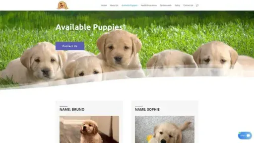 Screenshot of
