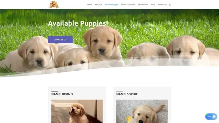 Screenshot of
