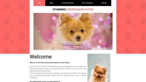 Screenshot of