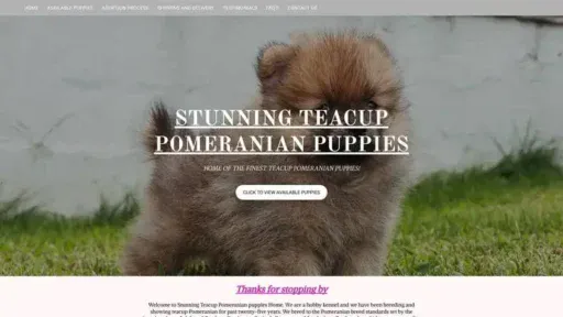 Screenshot of