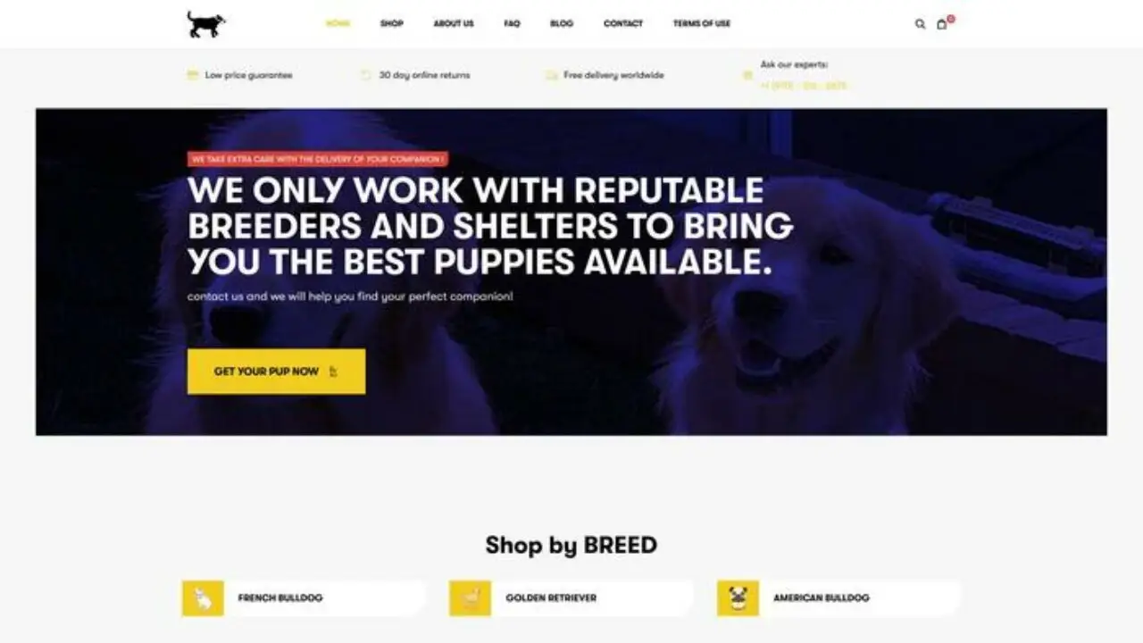Screenshot of||
