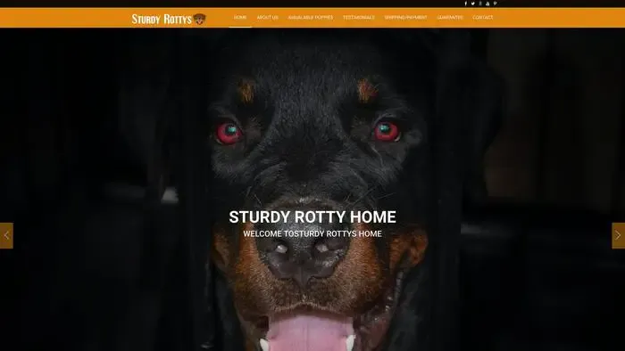 Screenshot of