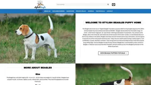 Screenshot of