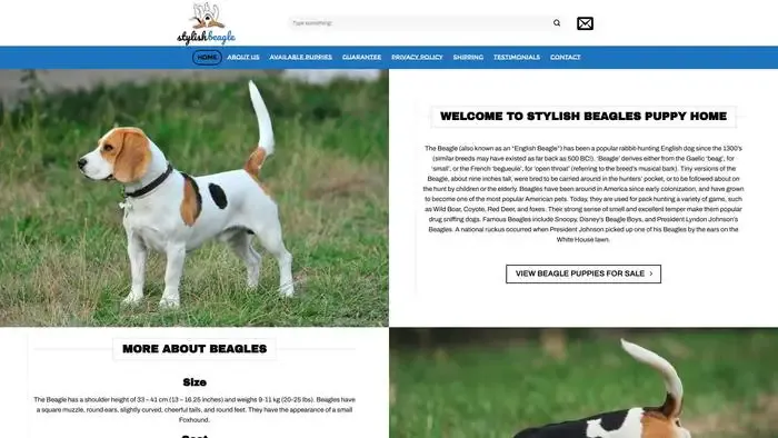 Screenshot of