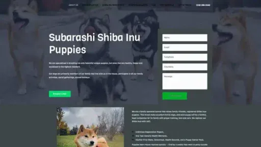 Screenshot of