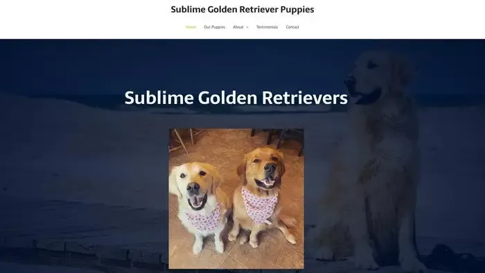 Screenshot of