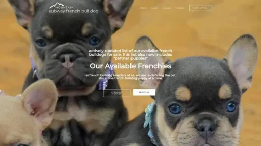 Screenshot of
