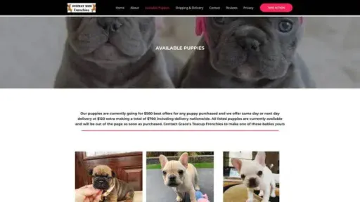 Screenshot of