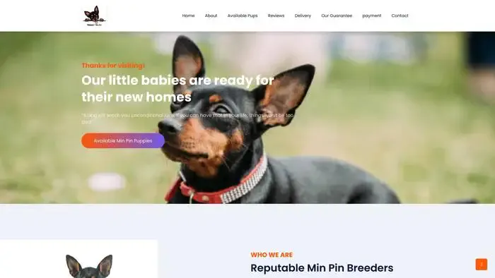 Screenshot of