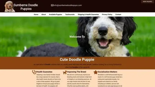 Screenshot of