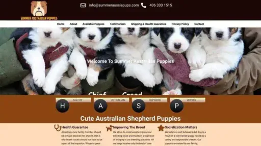 Screenshot of