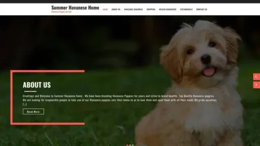 Screenshot of