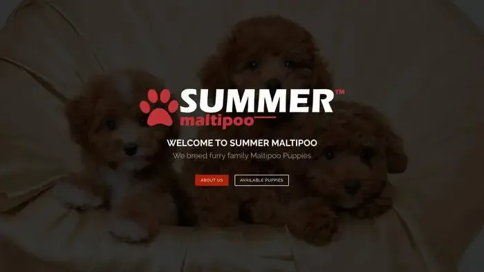 Screenshot of