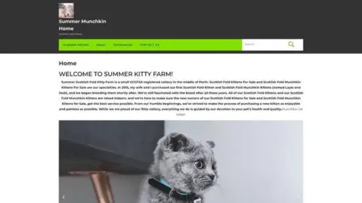 Screenshot of