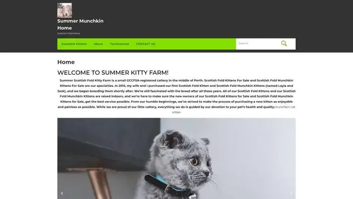 Screenshot of