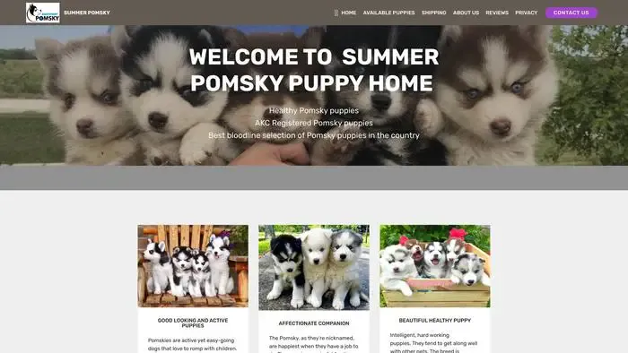 Screenshot of