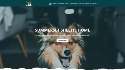 Screenshot of