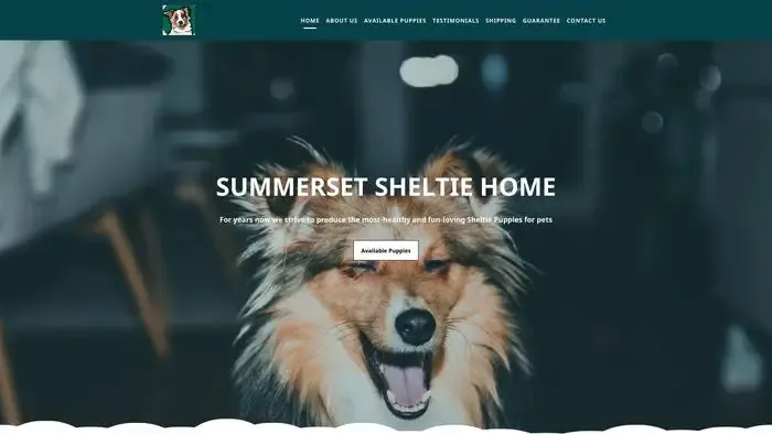 Screenshot of