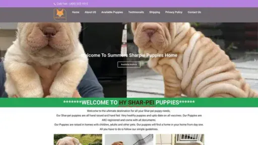 Screenshot of