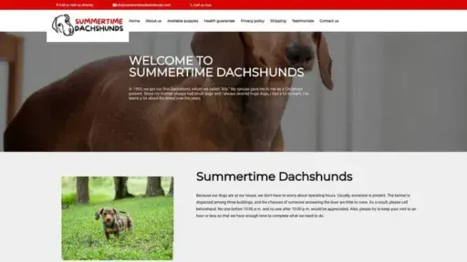 Screenshot of