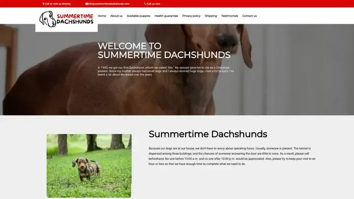Screenshot of