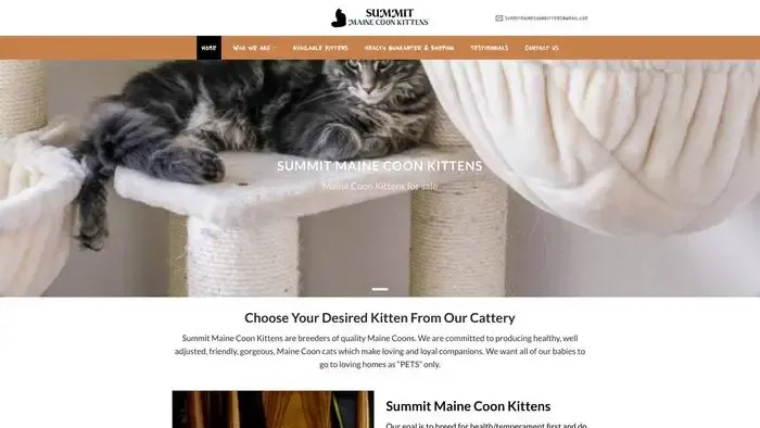 Screenshot of