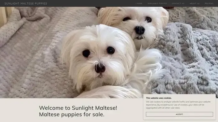Screenshot of