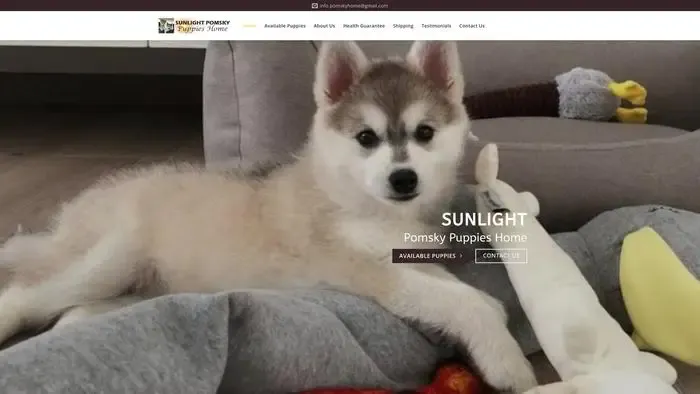 Screenshot of