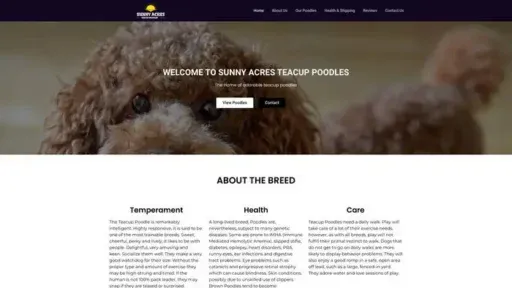 Screenshot of