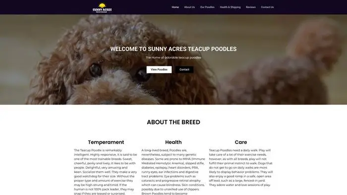 Screenshot of