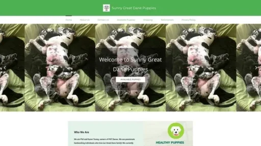 Screenshot of