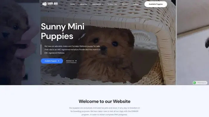 Screenshot of