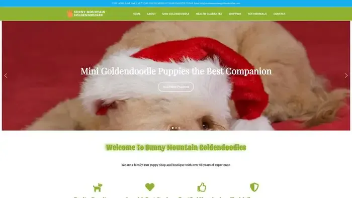 Screenshot of
