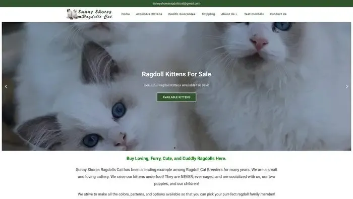 Screenshot of
