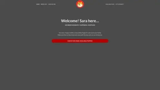 Screenshot of