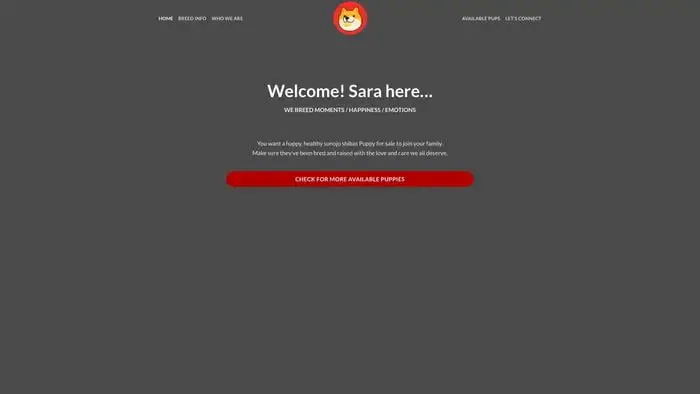 Screenshot of