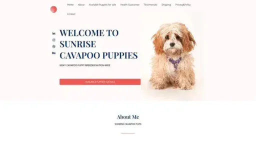 Screenshot of