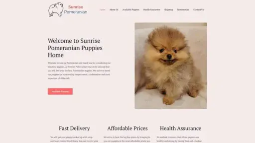 Screenshot of