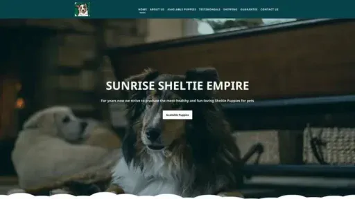 Screenshot of