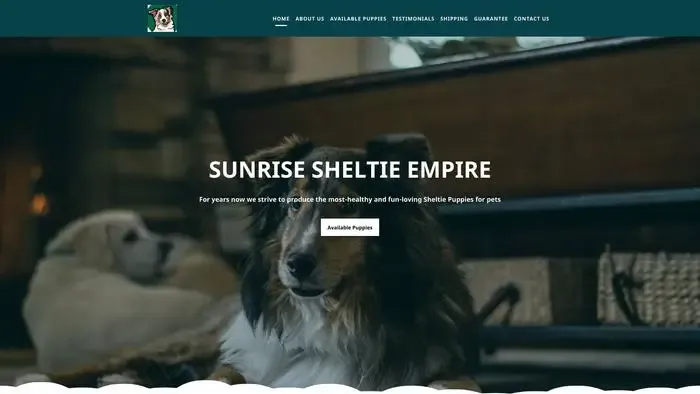 Screenshot of