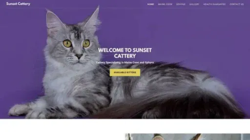 Screenshot of||
