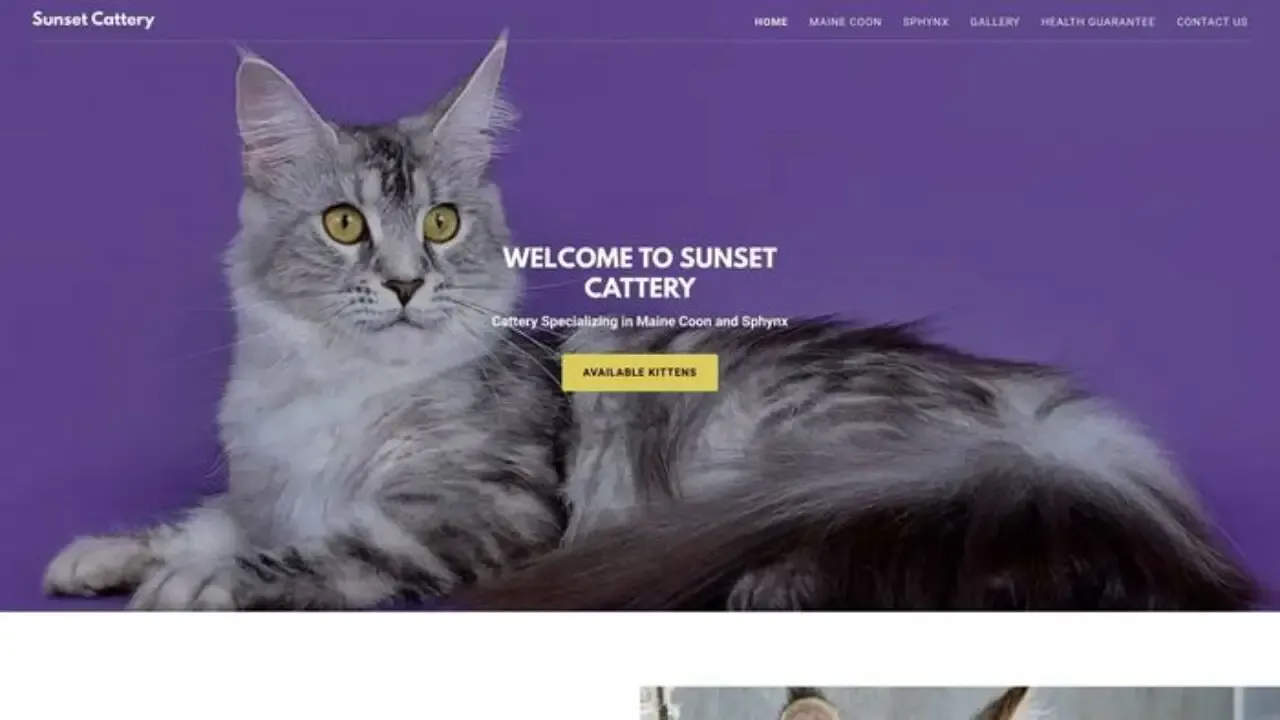 Sunsetcattery
