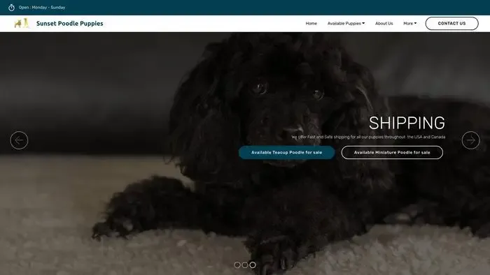 Screenshot of