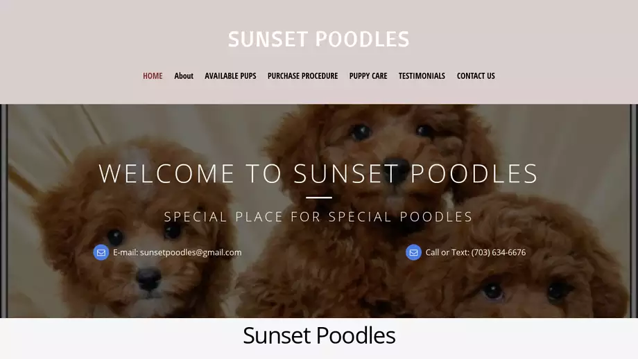 Screenshot of