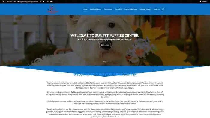 Screenshot of