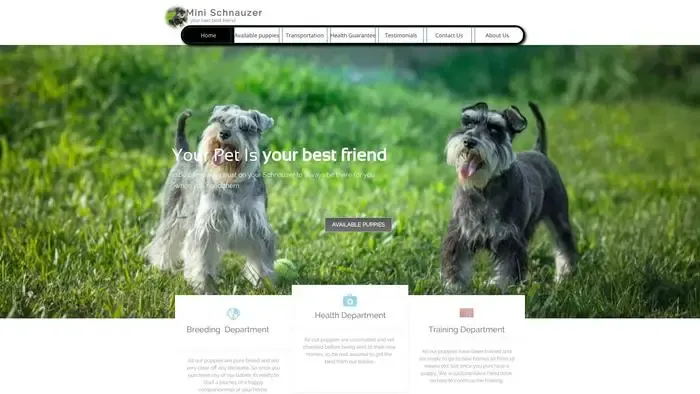 Screenshot of
