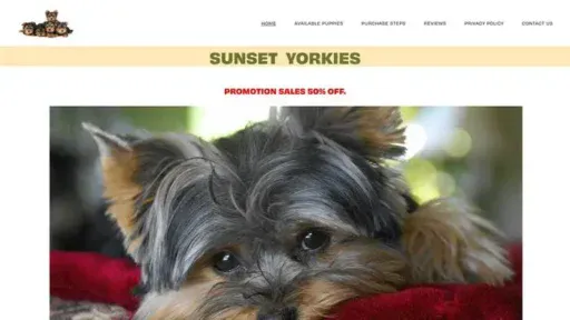Screenshot of